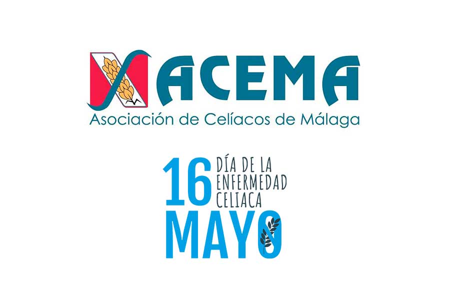 Actividades ACEMA 2025