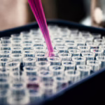 investigación